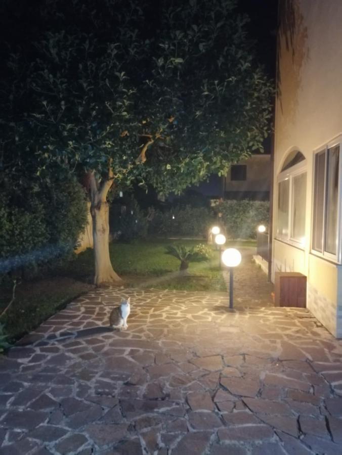 Villa Cavalluccio Marino Con Piscina Idromassaggio Carini Bagian luar foto